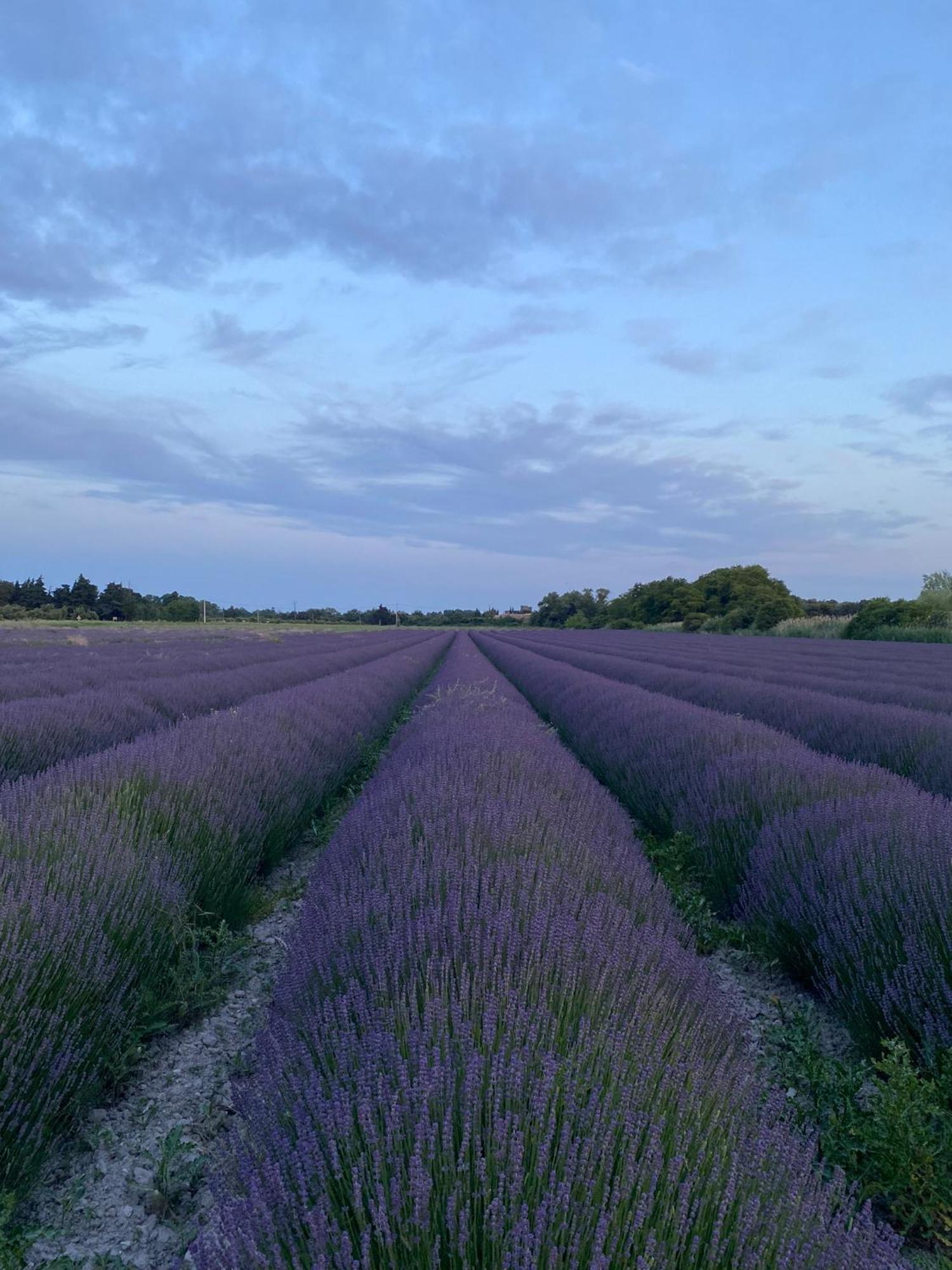 Le Moulin De Montsegur Bed & Breakfast ภายนอก รูปภาพ